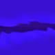 univers_guy