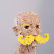 0x1f1d9ba2c45910cde06091fc9f17216eed5f02ab