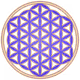 0x1f621ad067f7b447e9cc6a6e6704afa2c86c40cd