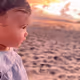 Sugar_Treasury