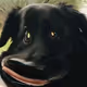 _Bugu