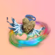 0x1f73282d2fe71e8091135c8fee6bc1ba5a8523e9