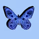 BeautifulCryptoButterflies