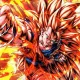 Gokufighter