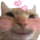 goodnightbros