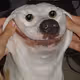 BoboDafoe
