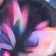 IQSTUDIOs