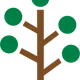 protoskin