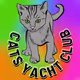 CatsYachtClub