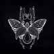 Trippy_Lucanus