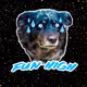 FunHigh