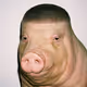 0xSvinota