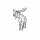 MooseMan