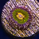 0x202ba6fd8129e9add9dc08ffd4ff048366a9eb5a