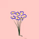 0x2060c0733404805cbf6ab3a3f19b80e9a56f3a68