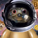 SlothyNFTs