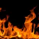 RoboBurn