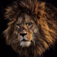 0x2090367a894f16be8f3b4c43fe4bbc83f8604aea