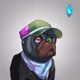 Moxell