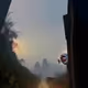 JD_NFT_
