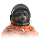 0x20ab9777f78c55caeddebd48bfeb421b4c6eaf1b