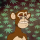 High_APE_Club