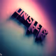lnslder