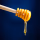 TheHoneyDrippers