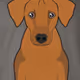 NFTZ4FRED