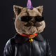 RockyBabu2709