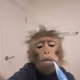 howcanilose