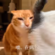 0x211a57c3ef114c29cbbd00cbd651c655241aa621