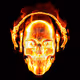 Neonk9