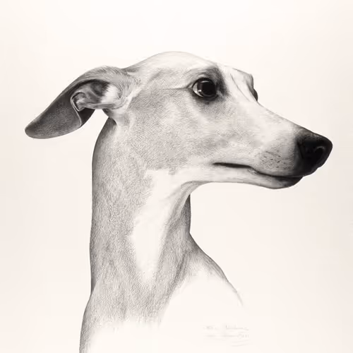 OpenSea profile picture for @Li4