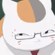 daidai