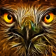 Mr_444