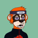 Notdbadguy_eth