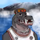 Hippo_05