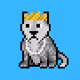 therealwolfofcrypto