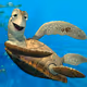 TurtleSniper