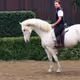 zorian1