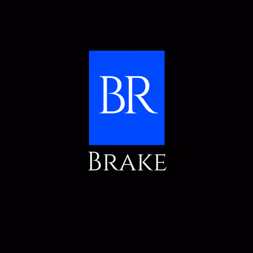 OpenSea profile picture for @brake