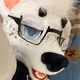 SpottyMatt