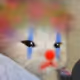 chungus_galaxy