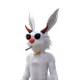 0x21caf64fbcad39623538c351c34b3ec123ca87a9
