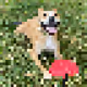 Bored_Pit