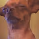 0x21fd01f03eb0dab3a3eb0f6a245a5e5dbae2b7c5