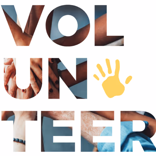 OpenSea profile picture for @Volunteer