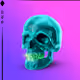 Hfogz