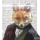 MrFox79